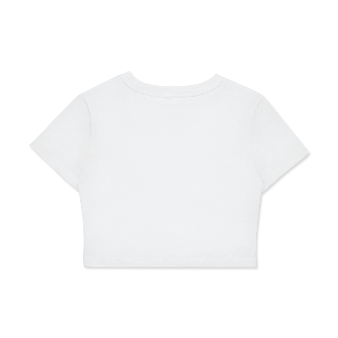 VZN Basics Crop Tee