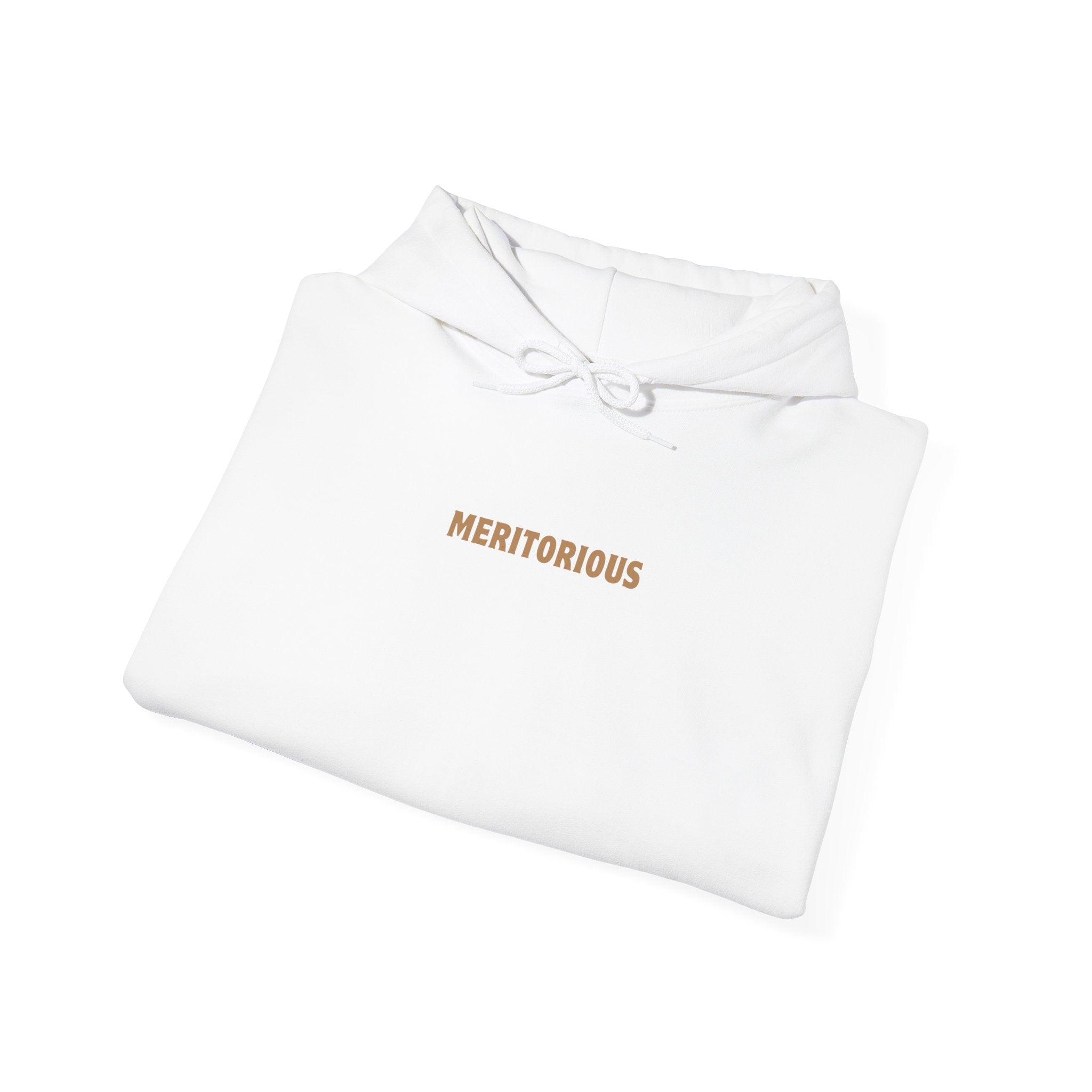 MERITORIOUS Heavy Blend Sweatshirt